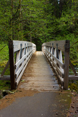 Wooden Bridge Leading into Forest at Bagby Hot Springs, Mt. Hood National Forest, Oregon
