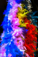 Colorful Feathers Necklaces Mardi Gras New Orleans Louisiana