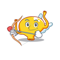 Bladder in cupid cartoon character with arrow and wings