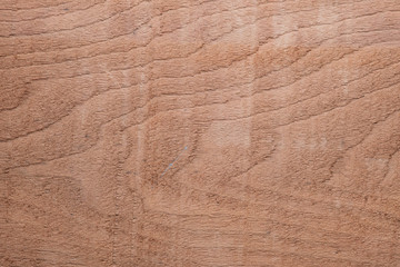 Fototapeta premium Wood texture background surface with old natural pattern. Texture of wood background close up. Top view. Copy space.