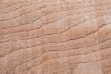 Wood texture background surface with old natural pattern. Texture of wood background close up. Top view. Copy space.