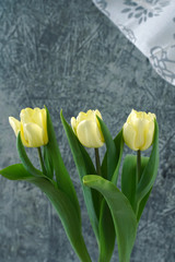 fresh yellow tulips on background