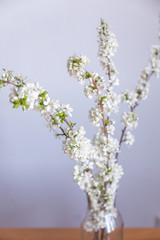 bouquet of white flowers in vase