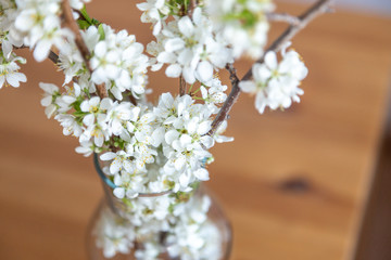white flowers in a vase