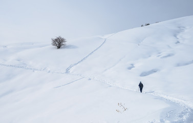 A woman walks up the path in winter