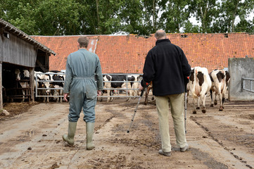 Agriculteur en béquilles avec salarié de remplacement