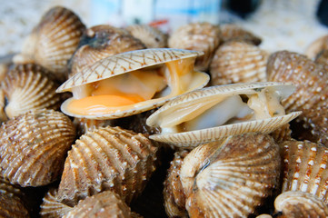Image of fresh raw clams and scallops