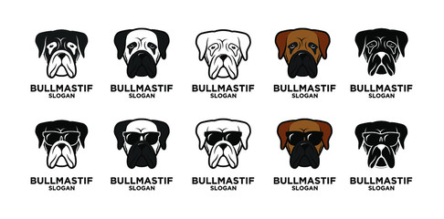 set collection bull mastiff head logo icon design - obrazy, fototapety, plakaty