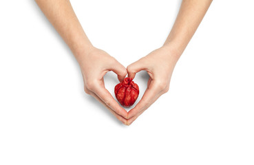 Human heart in hands isolated on white background. Heart attack, infarction failure.