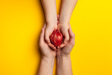 Saving life is heart transplant. Hands hold organ on yellow background, concept.