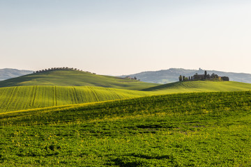 Fototapeta na wymiar Beautiful Tuscany landscape in spring time with wave green hills and isolated trees and farmhouses. Tuscany, Italy, Europe