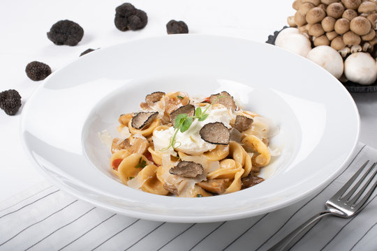 Orecchiette pasta with ceps, cherry tomatoes, ricotta gratin, fresh truffles and wild mushrooms