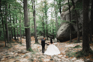 Happy wedding couple walking in a botanical park
