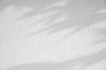 shadow of leaf tree on white texture wall - black and white gray background