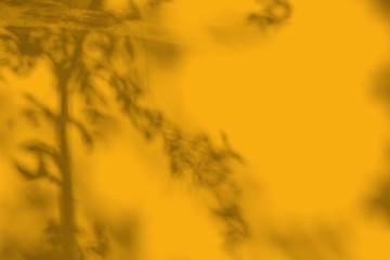 shadow of leaf tree on yellow texture wall  background