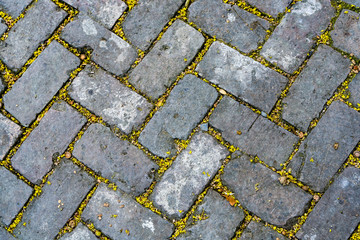 Sidewalk Bricks Garden District New Orleans Louisiana
