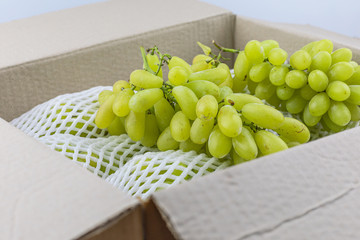 Green Grape fruit focus object  