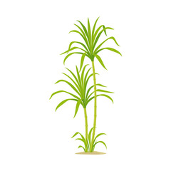 Vector illustration of production and farm logo. Collection of production and agriculture stock symbol for web.