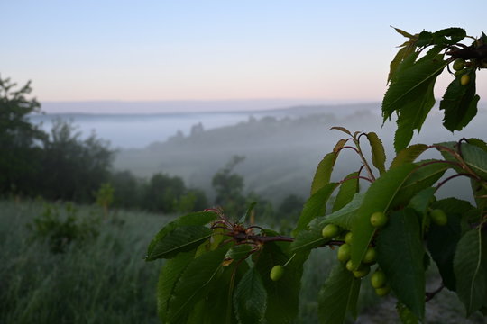 Fr&uuml;h am frostigen eisheiligen Morgen