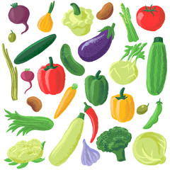vector drawing vegetables