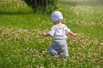 Little boy walks on a green flowering lawn, rear view.