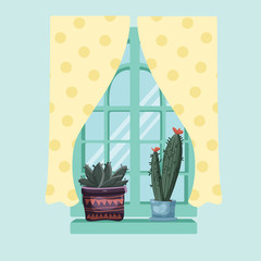 A couple of cactuses on the window sill a glass window curtain with a pattern