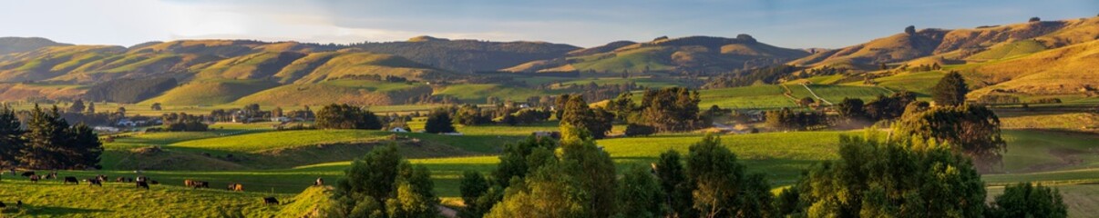 Panoramic Landscape  near Owaka in New Zealand - obrazy, fototapety, plakaty