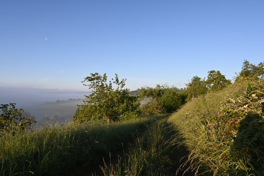 Schmaler Wiesenweg am Hang im fr&uuml;hen Morgenlicht