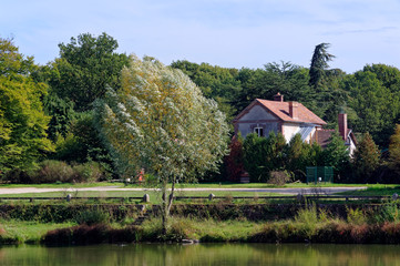 Fototapeta na wymiar Etang de la Tour pond in Rambouillet forest