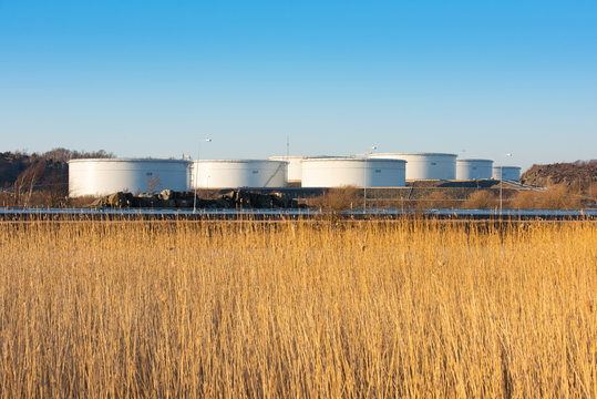 Large white oil tanks. Reeds in the foreground, blue sky