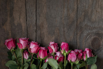 Beautiful pink roses on a wooden background, flat lay with copy space