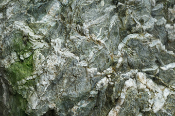 Layered gray and green stone texture in the forest