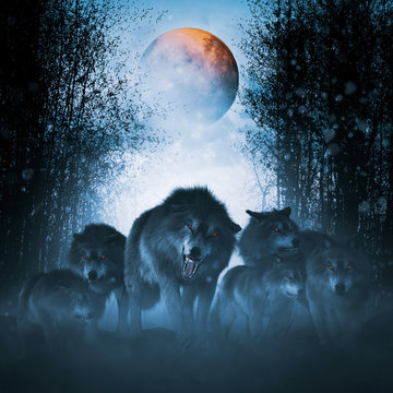 The pack of red moon,Group of ferocious wolf in the forest,3d illustration