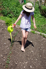 Arrosage du potager © minicel73