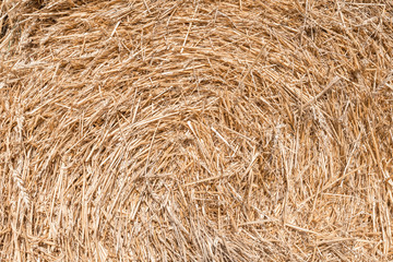 Hay background. Harvesting in agriculture.