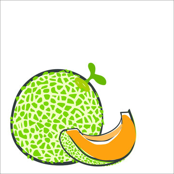 illustration of a melon
