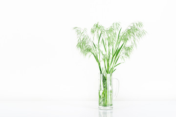 Wild field plant in a glass mug on a white background