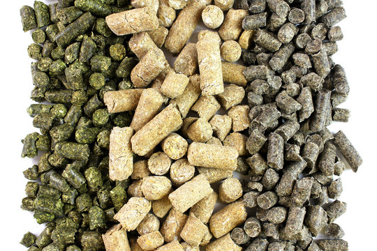 Compound feed for animals, livestock, granular feed mixtures isolated