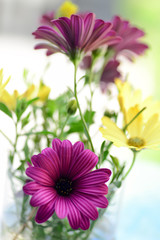 beautiful pink and yellow flowers