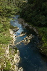 Pelorus River in Pelorus Bridge Scenic Reserve,Marlborough Region on South Island of New Zealand
