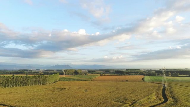 Vast Cultivated Farm Field With Growing Corn Crops And Grasses In Piedmont, Italy - Wide Shot