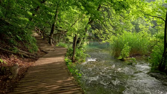 Walking the wooden boardwalk in summer park. Crystal clear water in river running fast. Steadicam shot, UHD