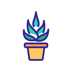 agave in home pot icon vector. agave in home pot sign. color symbol illustration