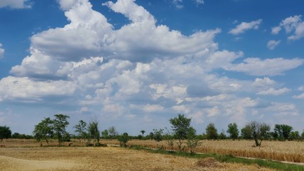 landscape with clouds