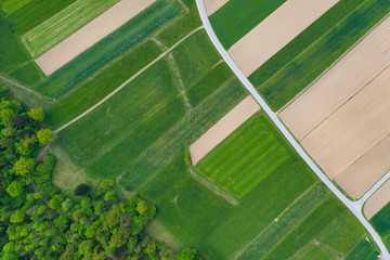 Sunset over the wheat and corn fields.