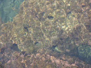In the sea, Sado Niigata, Japan