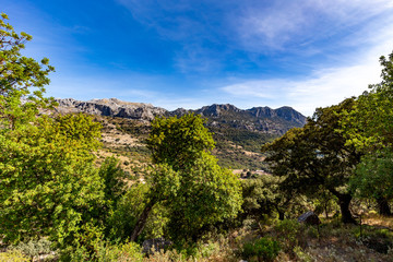 Naklejka premium Mediterranean landscape in the Sierra de Grazalema, Andalusia, Spain.