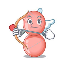 Neisseria gonorrhoeae in cupid cartoon character with arrow and wings