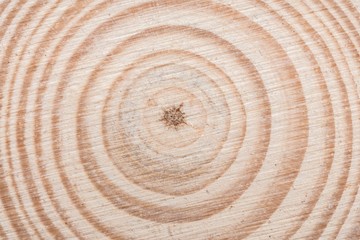 Fototapeta premium Wooden tree cut surface with organic tree rings