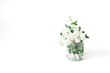 Bouquet of white flowers in a vase on the table. Spring. On white background